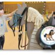 Großer Tag für Pferde-Fans: Laura (7) kennt sich schon sehr gut mit Ponys aus. Vor dem Aufsitzen wird gestreichelt und sich begrüßt – na klar. Foto/Montage: Anke Beißer