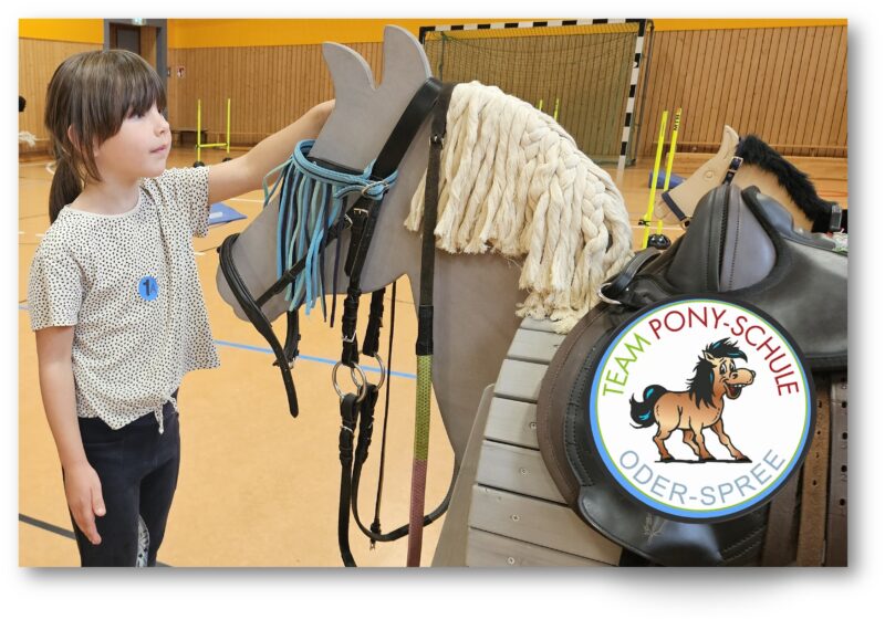 Großer Tag für Pferde-Fans: Laura (7) kennt sich schon sehr gut mit Ponys aus. Vor dem Aufsitzen wird gestreichelt und sich begrüßt – na klar. Foto/Montage: Anke Beißer