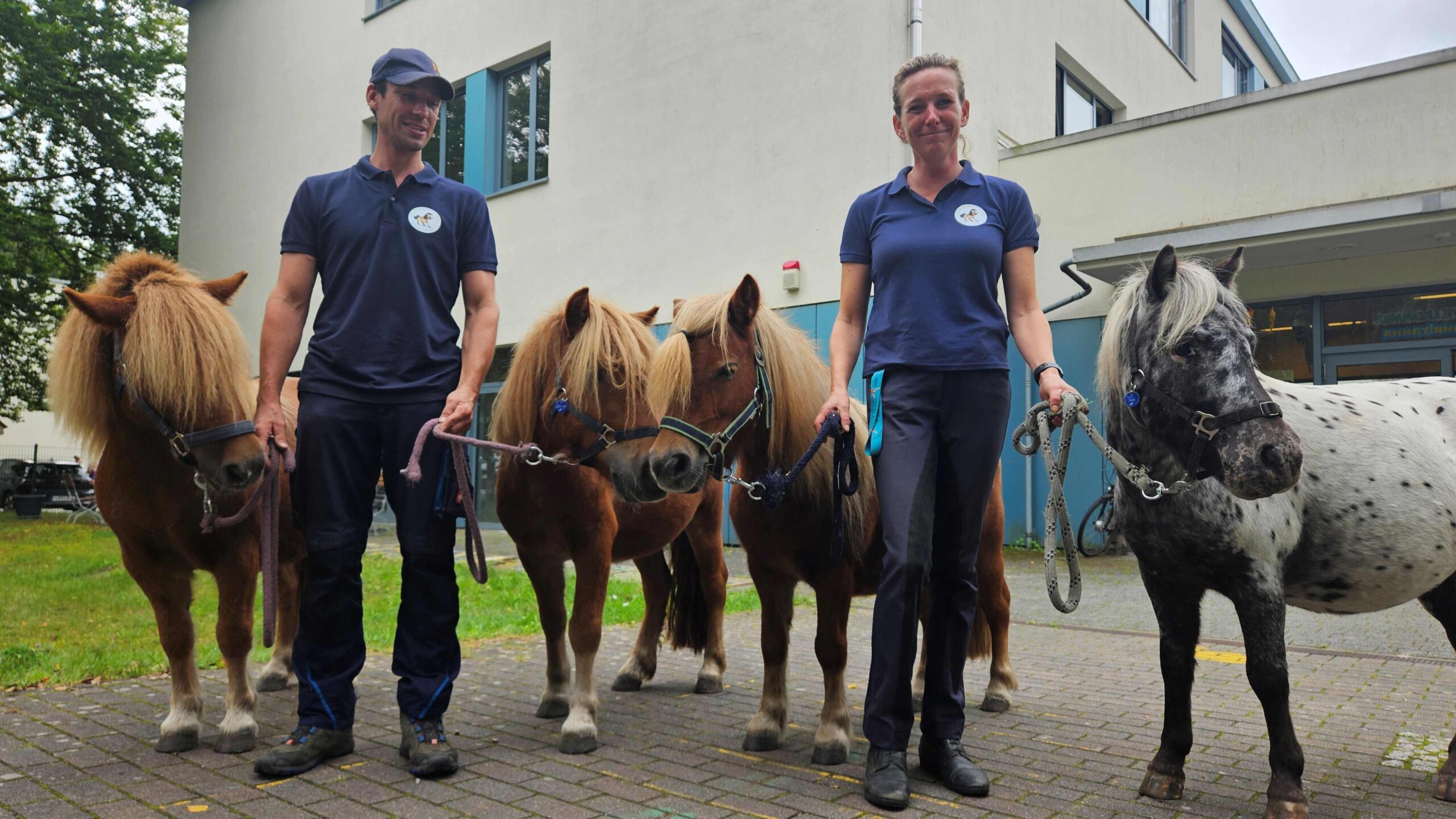Tierischer Besuch an der Gerhart-Hauptmann-Grundschule: Michael und Sophie Fankhauser von er Pony Schule Oder-Spree waren zum Pferdeerlebnistag mit Daki (9), Georgi (4), Hetti (10) und Faro (4, von links) bei den Zweitklässlern zu Gast. Foto (Anke Beißer)