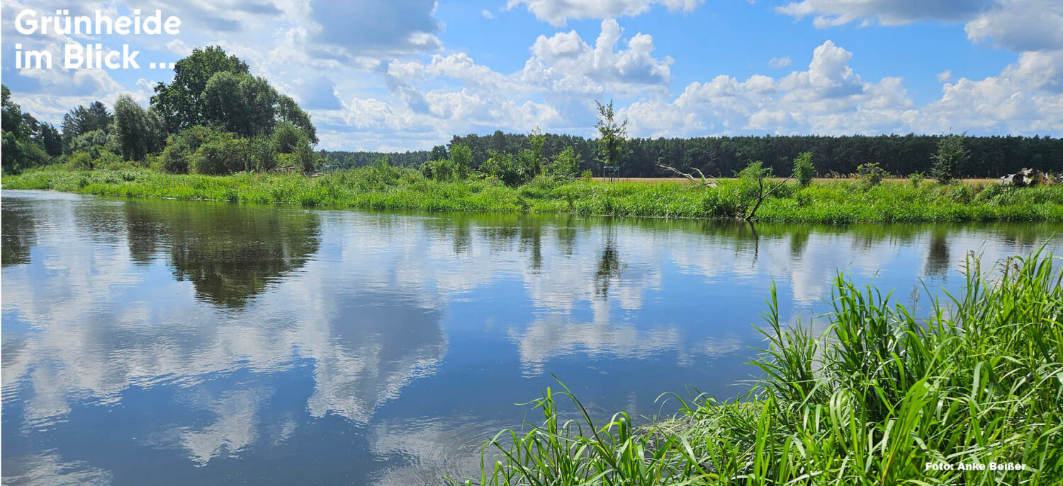 Grünheide im Blick …