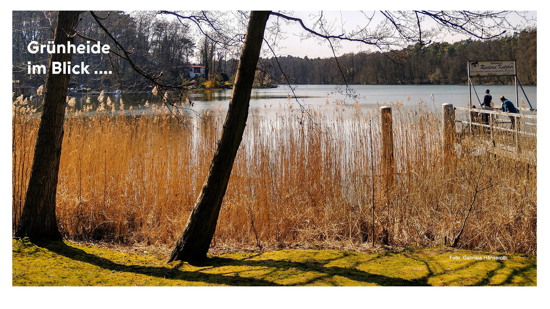 Grünheide im Blick …