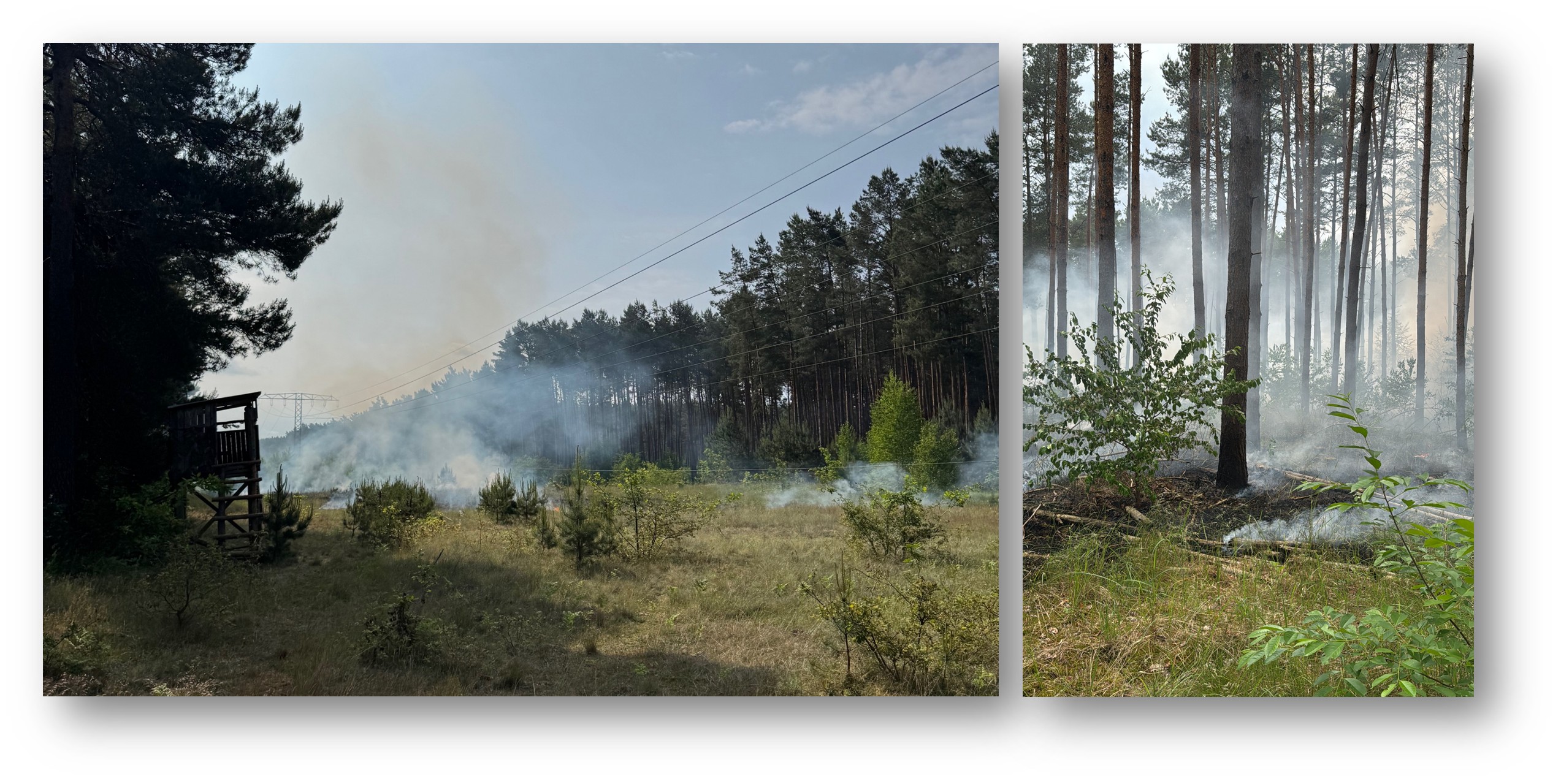 Abstand halten: Zwischen Kagel und Kienbaum war im Juni die Hochspannungsleitung gerissen und hatte einen Brand entfacht. Für die Feuerwehr hieß es, wegen des herabhängenden Kabels besondere Vorsicht walten zu lassen. Fotos: Jan Wischnewski/Montage: Anke Beißer