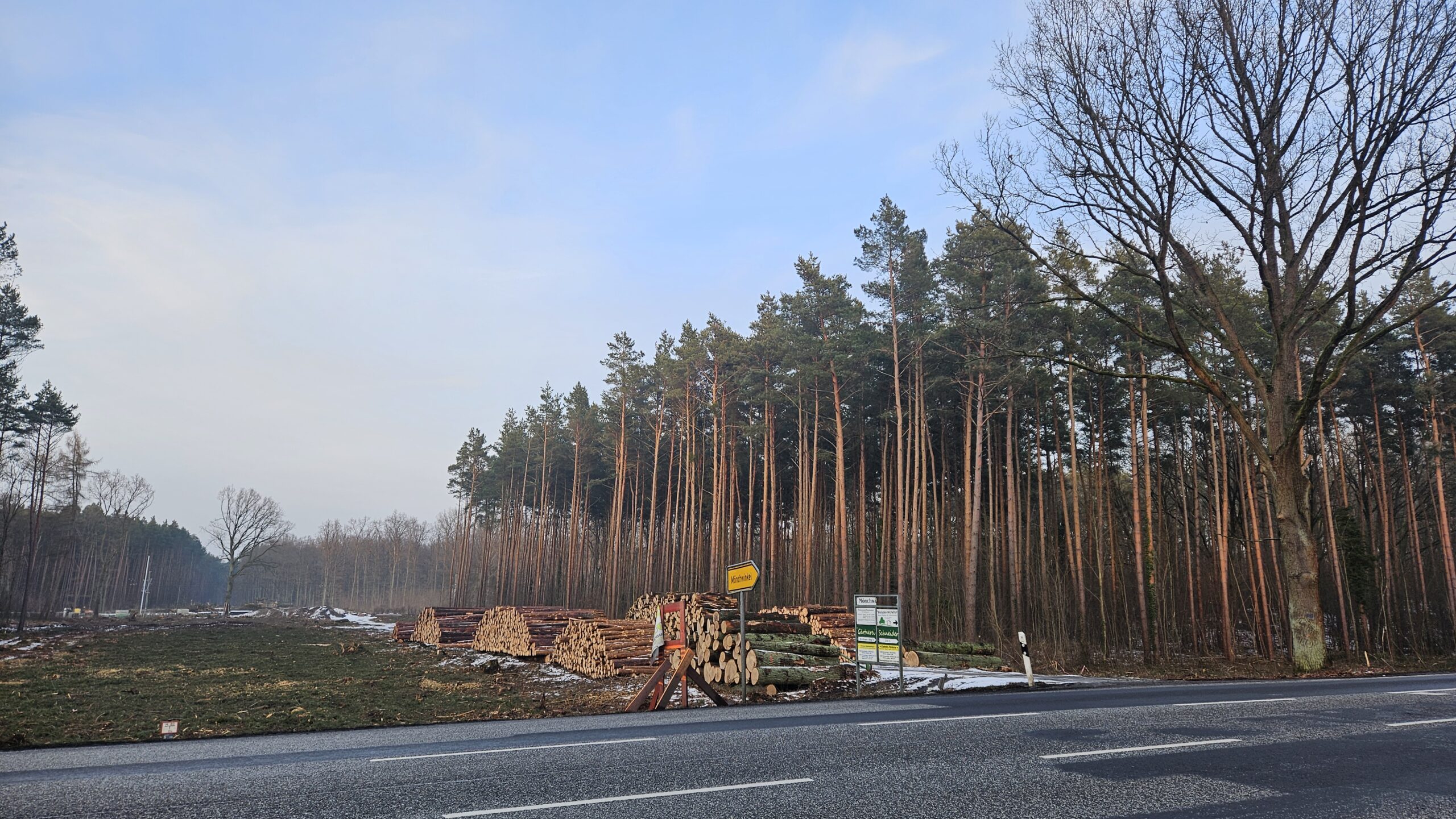 Erste Vorboten: Für die neue Umgehungsstraße ist mit der Beräumung des Baufeldes begonnen worden. Foto: Anke Beißer