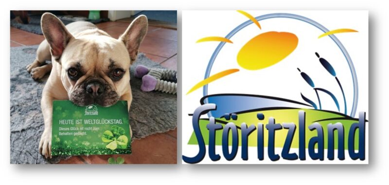 Mit lustigen Posts Freude verbreitet: Abby-Pupsi war eine der Boten auf Social Media am Weltglückstag - eine Benefiz-Initiative des Störitzlands. Foto: Jennys Heering/Montage: Anke Beißer