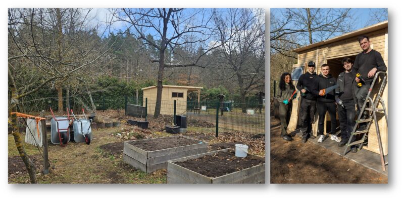 Schulgarten mit neuem Unterstand: Ein Tesla-Team hat den kleinen Hobby-Gärtnern von der Gerhart-Hauptmann-Grundschule einen Wunsch erfüllt und einen Holzschuppen aufgebaut. Fotos: Anke Beißer; Tesla Gigafactory/Montage: Anke Beißer