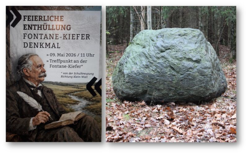Einladung zur feierlichen Enthüllung: Der Erinnerungsstein an die Fontane-Kiefer wird am Samstag (9. Mai) erstmals der Öffentlichkeit präsentiert. Fotos: Uwe Werner/Montage: Anke Beißer