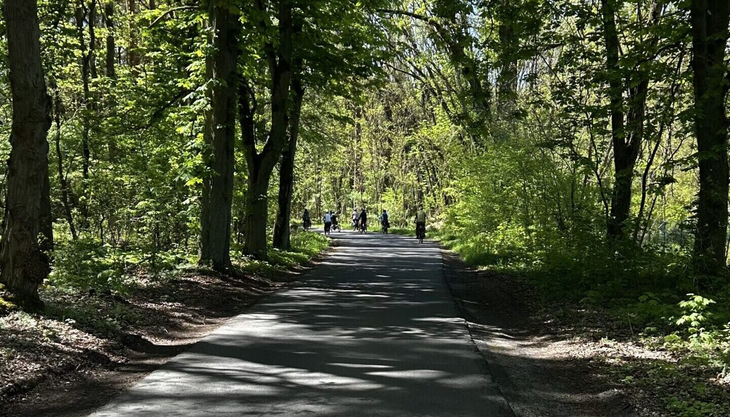 Es grünt so grün: Bei „Grünheide auf Rädern“ lassen sich die schönsten Seiten der Gemeinde im Vorbeifahren entdecken. Foto: Pauline Thiel