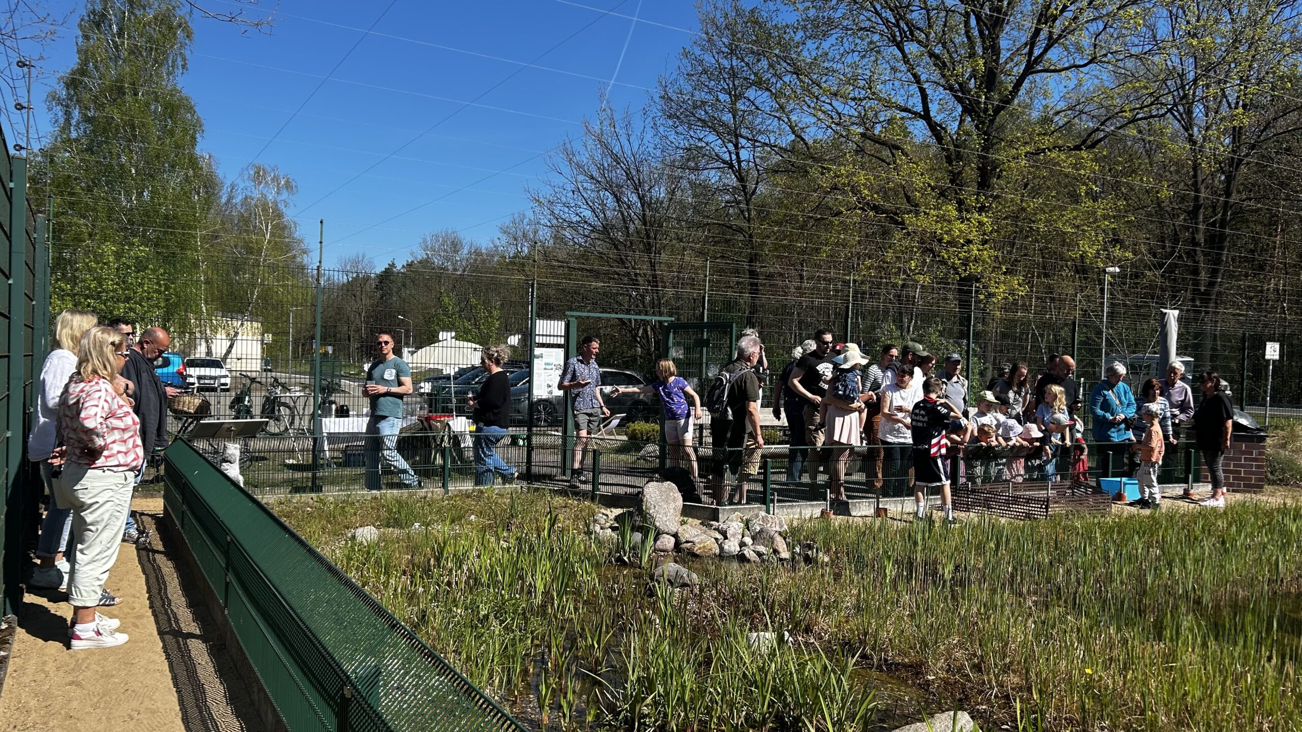 Gedränge am Teich: über 60 Besucher waren beim Einsetzen der Schildkröten dabei. Foto: Pauline Thiel