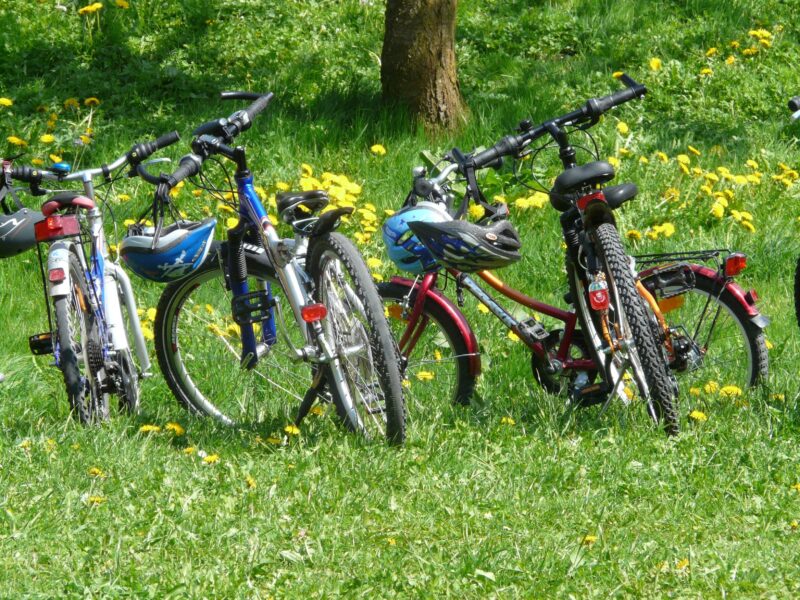 Radfahren in Oder-Spree - Symbolbild Foto: hans-cycles auf Pixabay