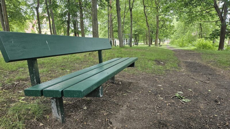 Herausgeputzt: Am Hangelsberger Spazierweg entlang der Spree kann man in Höhe des Fitnessparcours auf den von den Montessori-Schülern aufgearbeiteten Bänken wieder unbesorgt Platz nehmen. Foto: Anke Beißer