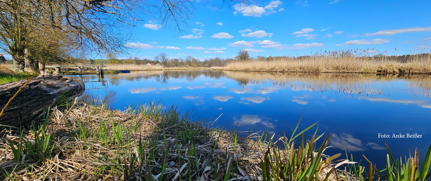 Grünheide im Blick