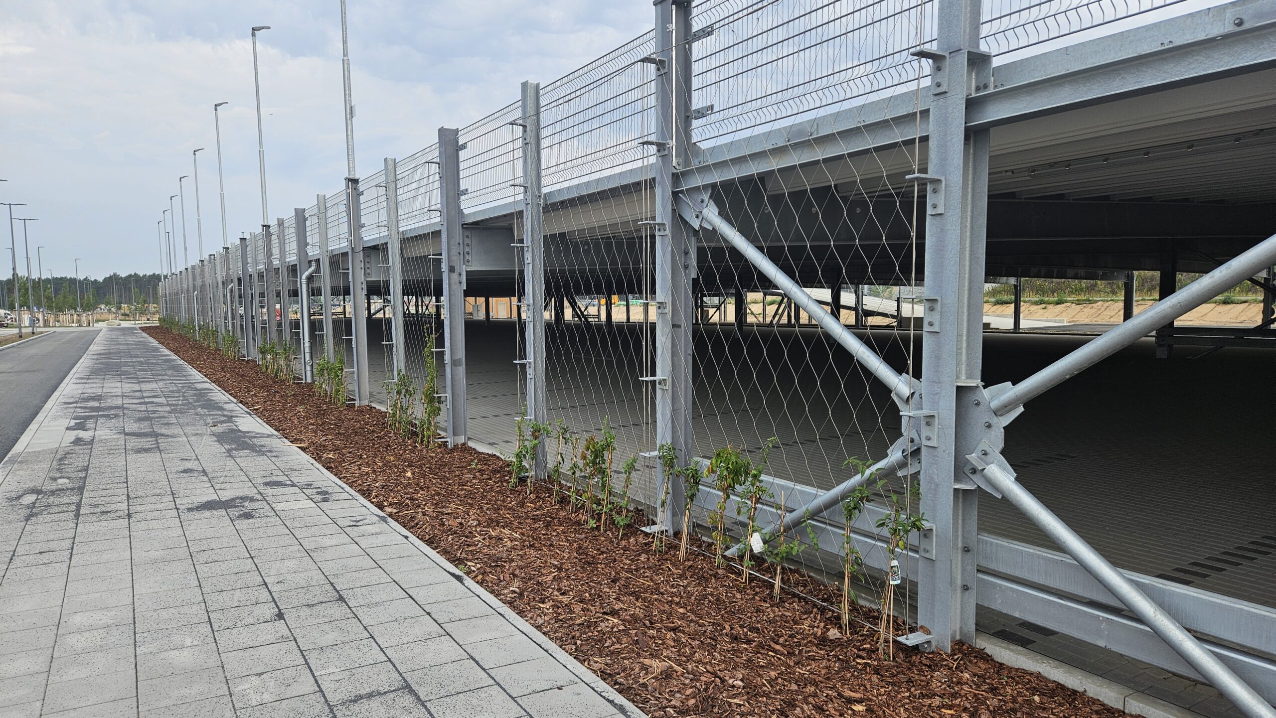 Farbtupfer für das Parkdeck: Die zweigeschossige Anlage ist von frischem Rindenmulch umgeben und wurde bepflanzt. Weitere Gehölze folgen. Foto: Anke Beißer
