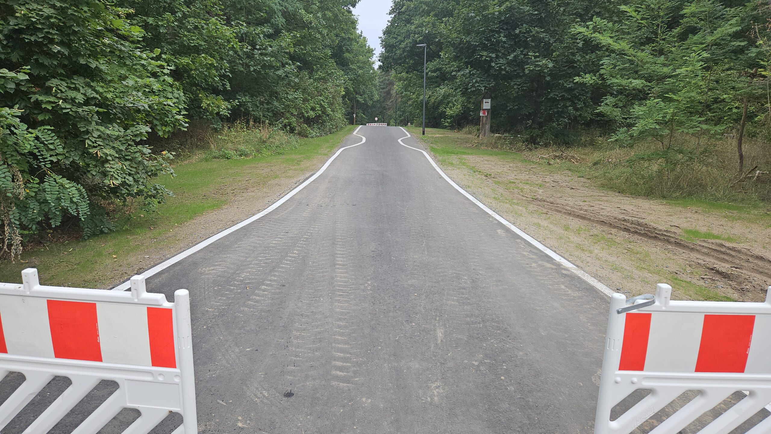 Schnurstracks durch den Wald: Der Radweg zwischen Gottesbrück und neuem Bahnhof Fangschleuse ist quasi fertig. Er soll am 14. August freigegeben werden. Foto: Anke Beißer
