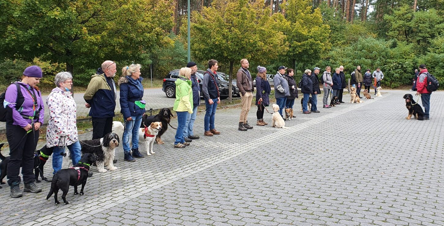 Immer gern in großer Runde: Ob auf der Festwiese am Werlsee oder am Bahnhof Fangschleuse - die Arbeit am Sozialverhalten der Vierbeiner hat eine große Gruppe Gleichgesinnter zusammengebracht, die viel Spaß miteinander haben. Foto: Archiv Bernhard Ackermann