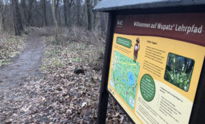 Perfekt für neugierige Naturfreunde: Der Waldwichtel Wupatz begleitet die Wanderer entlang des Lehrpfads. Hier gibt es Wissenswertes und Erstaunliches zu erfahren. Fotoarchiv: Anke Beißer