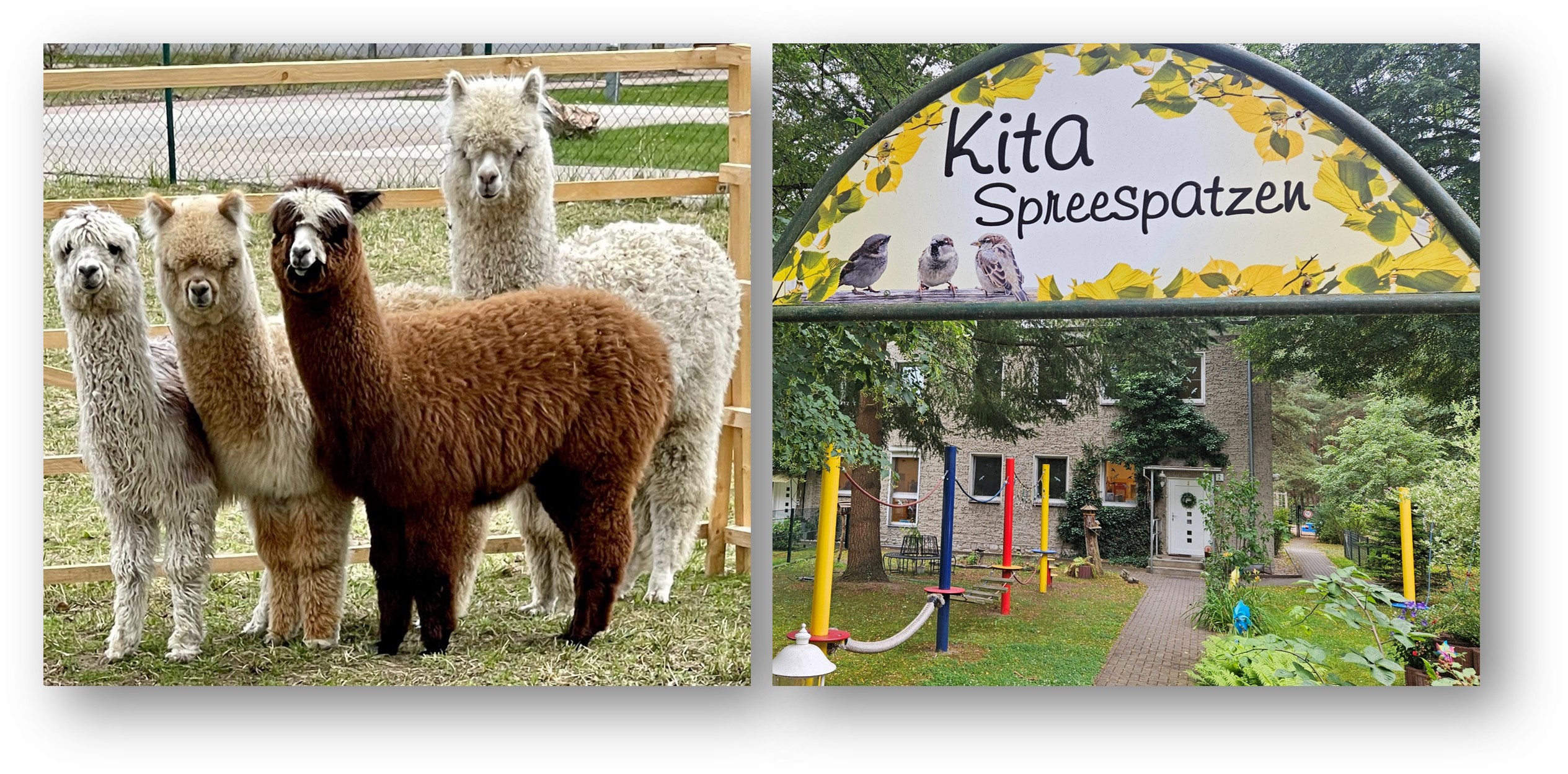 Herzlich willkommen: Die Kita „Spreespatzen“ in Spreeau lädt zum Tag der offenen Tür ein. Fotos: Maria Fleischer, Anke Beißer/Montage: Anke Beißer