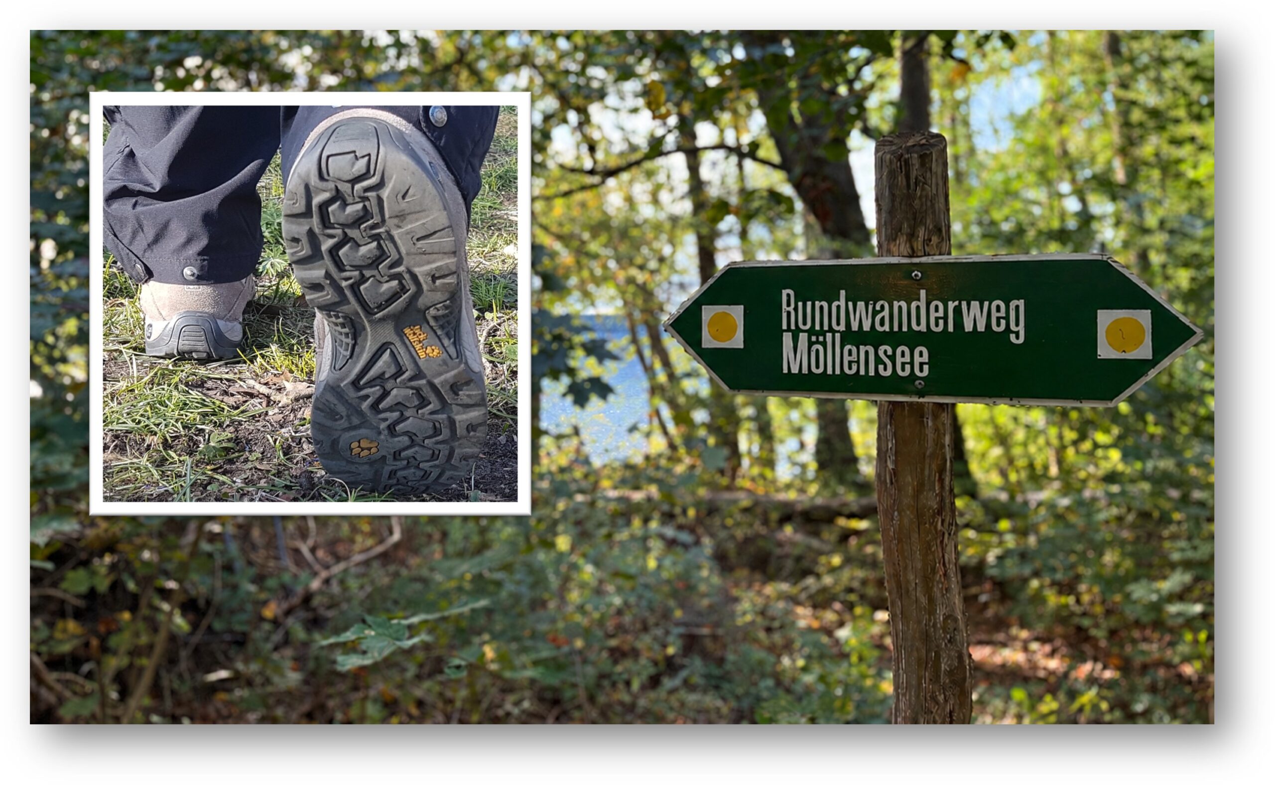 Die Natur aktiv erleben: In und um Grünheide (Mark) gibt es Wanderrouten für die ganze Familie. Der Blick des Monats Oktober 2026 zeigt einige Beispiel auf. Fotos: Daniel Schlupsky, Anke Beißer/Monatge: Anke Beißer