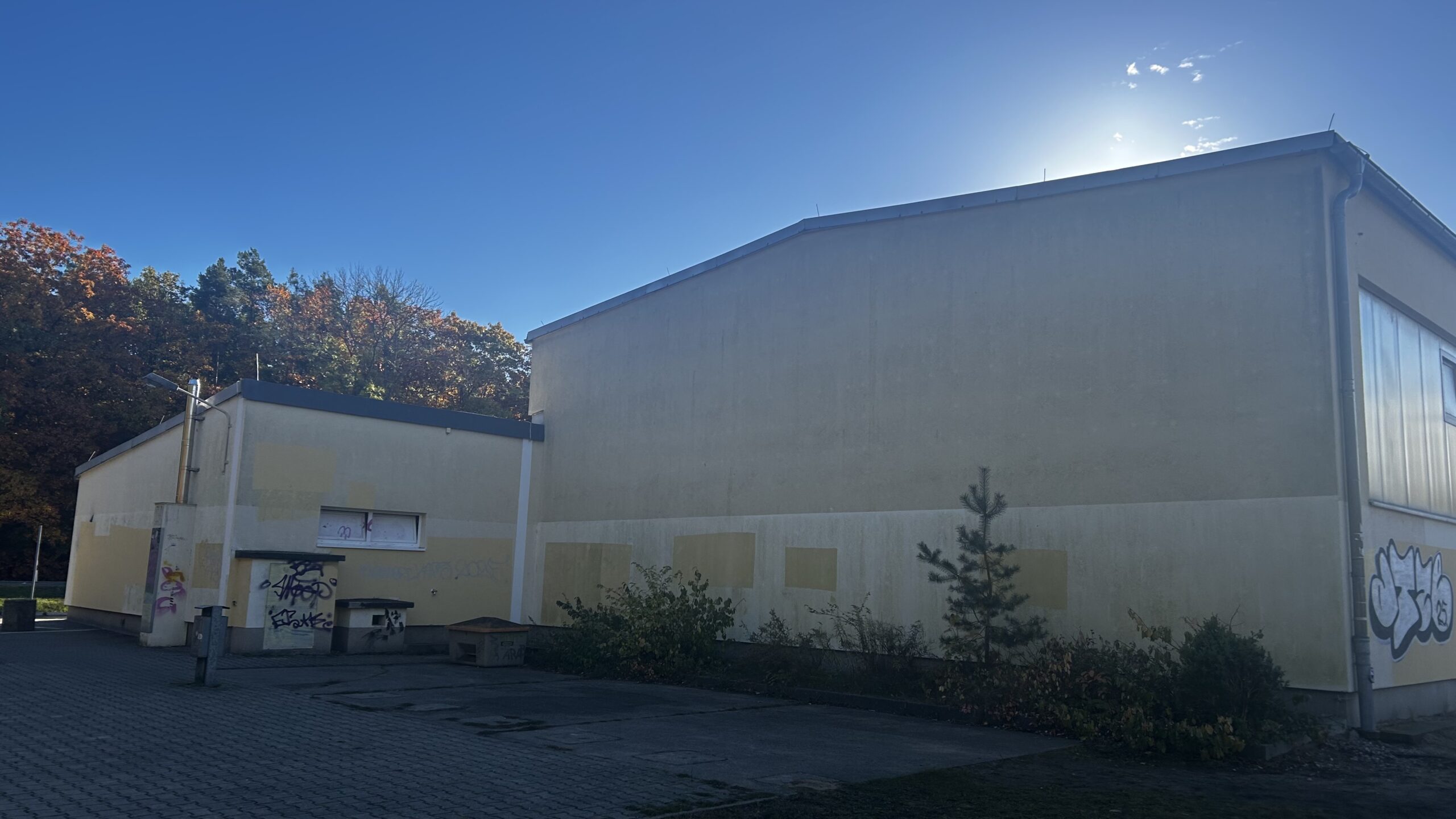 Platz für schöne Blicke: auch die Wand Richtung Wald war bisher eher unspektakulär. Foto: Pauline Thiel